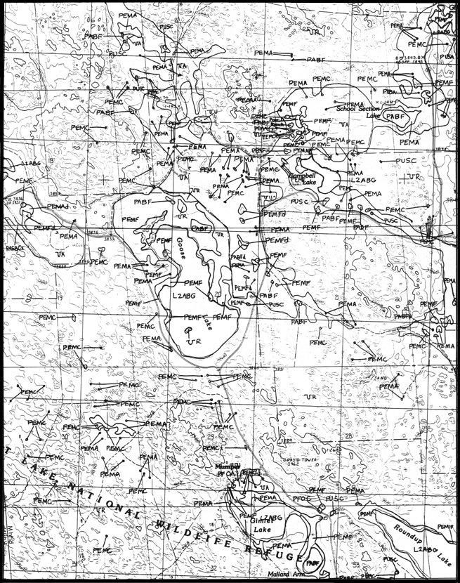 cl_nwi82.jpg (519539 bytes)