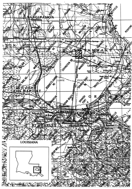 figure1.jpg (267648 bytes)