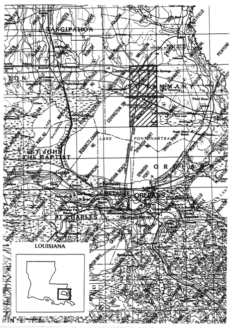 figure3_1.jpg (270048 bytes)
