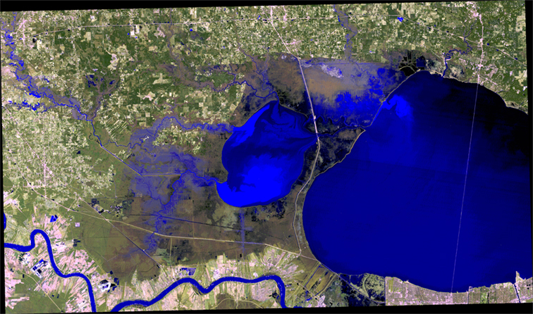 ns_satellite93.jpg (447329 bytes)